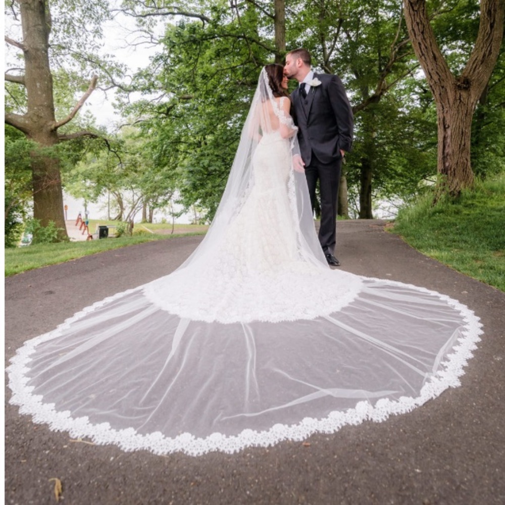 Pnina Tornai French lace wedding gown with veil